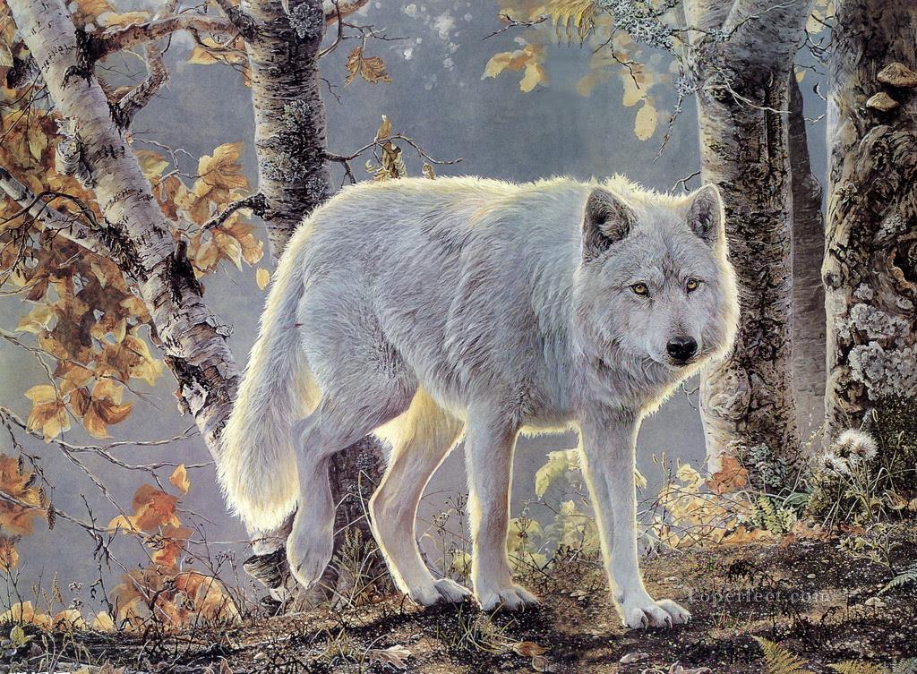 wolf in birch Oil Paintings